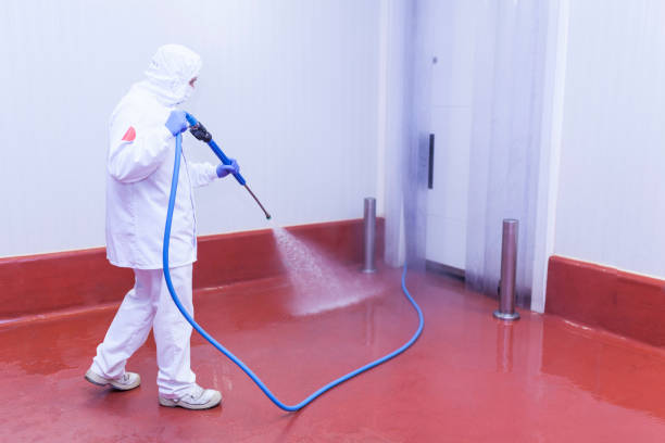 Best Warehouse Cleaning  in Pce, LA